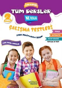 2. Sınıf Tüm Dersler Çek-Kopar Ne Kolay Çalışma Testleri