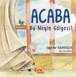 Acaba Bu Neyin Gölgesi?