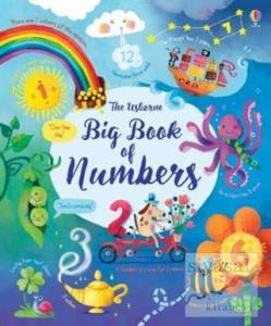 Big Book of Numbers (Ciltli)