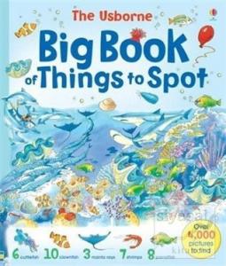 Big Book of Things to Spot
