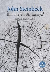 Bilinmeyen Bir Tanrıya