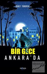 Bir Gece Ankara'da