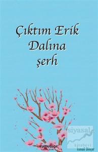 Çıktım Erik Dalına şerh