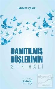 Damıtılmış Düşlerimin Şiir Hali