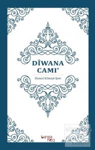 Diwana Cami