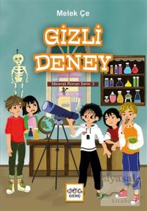 Gizli Deney