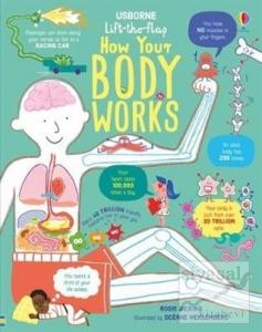 How Your Body Works (Ciltli)