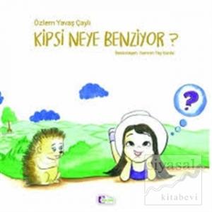 Kipsi Neye Benziyor?