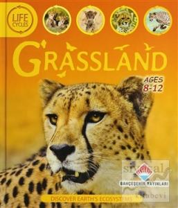 Life Cycles - Grassland (Ciltli)