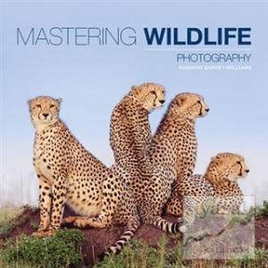 Mastering Wildlife Photography