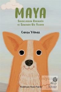 Maya - Sokaklardan Barınağa ve Sonunda Bir Yuvaya