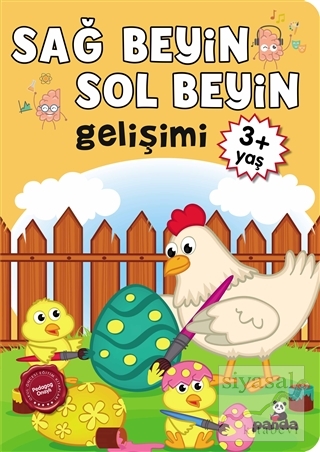 3 Yaş Sağ Beyin-Sol Beyin Gelişimi