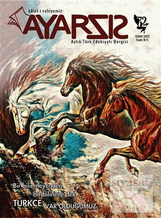 Ayarsız Aylık Türk Edebiyatı Dergisi Sayı: 72 Şubat 2022