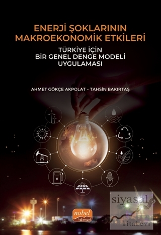 Enerji Şoklarının Makroekonomik Etkileri