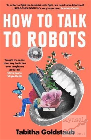 How To Talk To Robots Tabitha Goldstaub