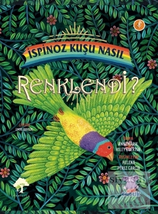 İspinoz Kuşu Nasıl Renklendi?