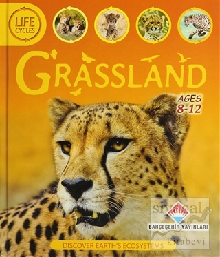 Life Cycles - Grassland (Ciltli)