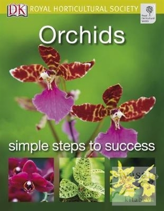 Orchids Kolektif