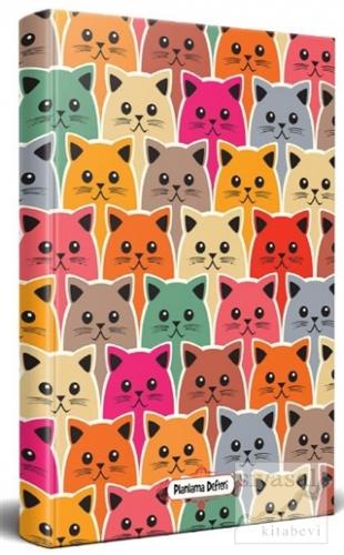 Renkli Yüzler - Planlama Defteri