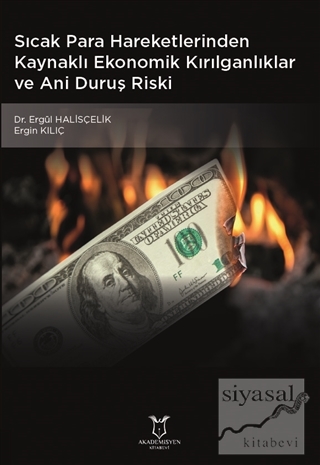 Sıcak Para Hareketlerinden Kaynaklı Ekonomik Kırılganlıklar ve Ani Duruş Riski