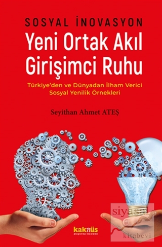 Sosyal İnovasyon Yeni Ortak Akıl Girişimci Ruhu